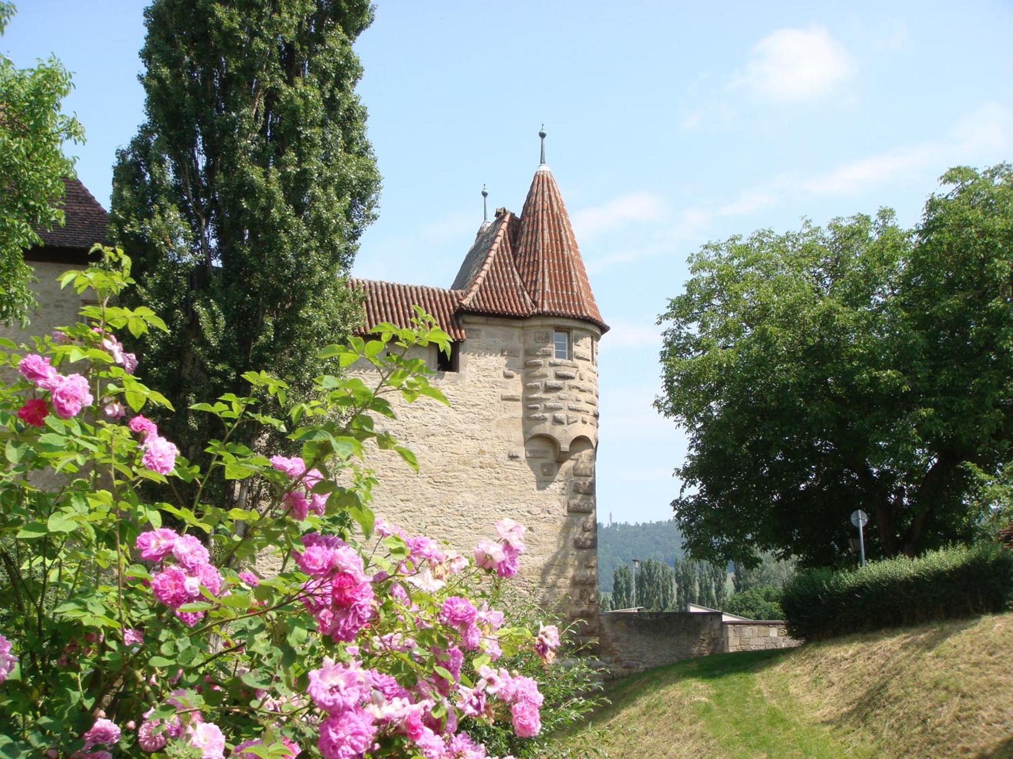 Weingut Gaestehaus Weigand Iphofen Exterior foto